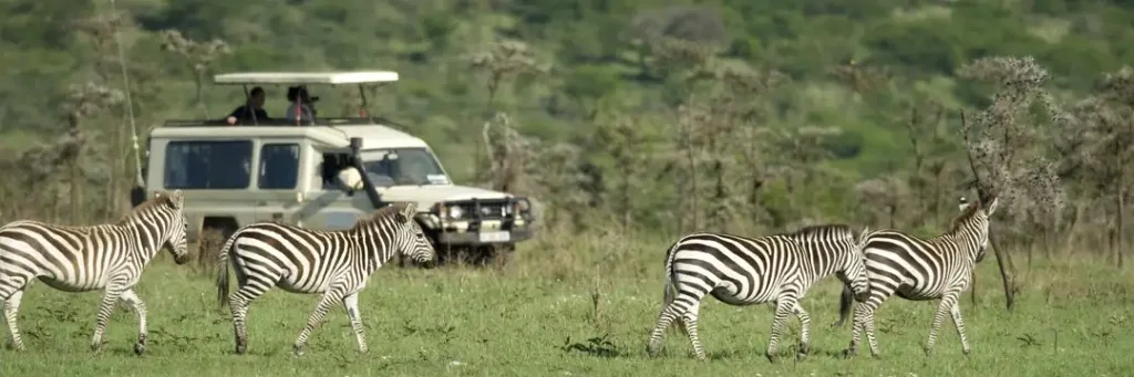 Safari in Serengeti, Tarangire, Ngorongoro & Manyara